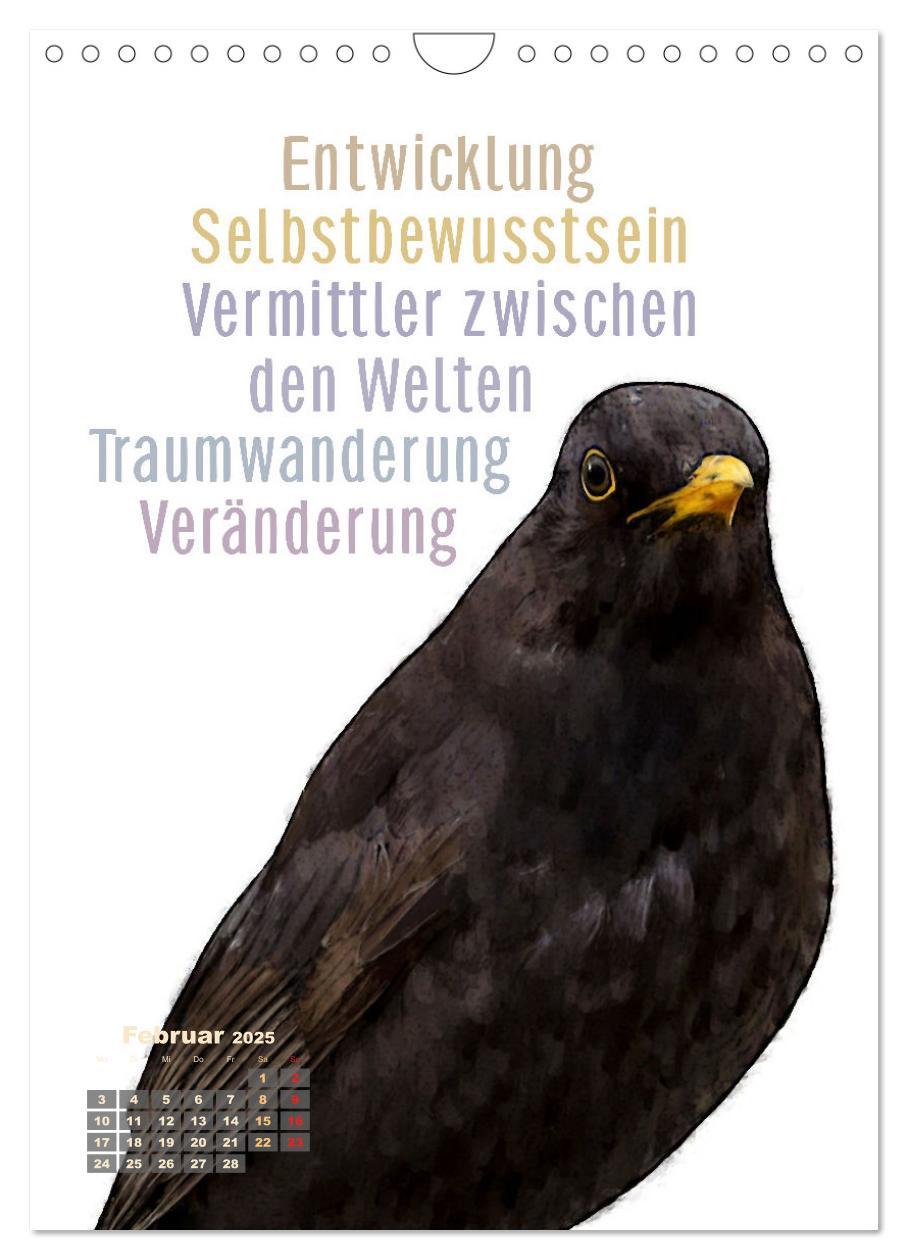 Bild: 9783457137437 | Welche spirituelle Bedeutung hat dieser Vogel? (Wandkalender 2025...