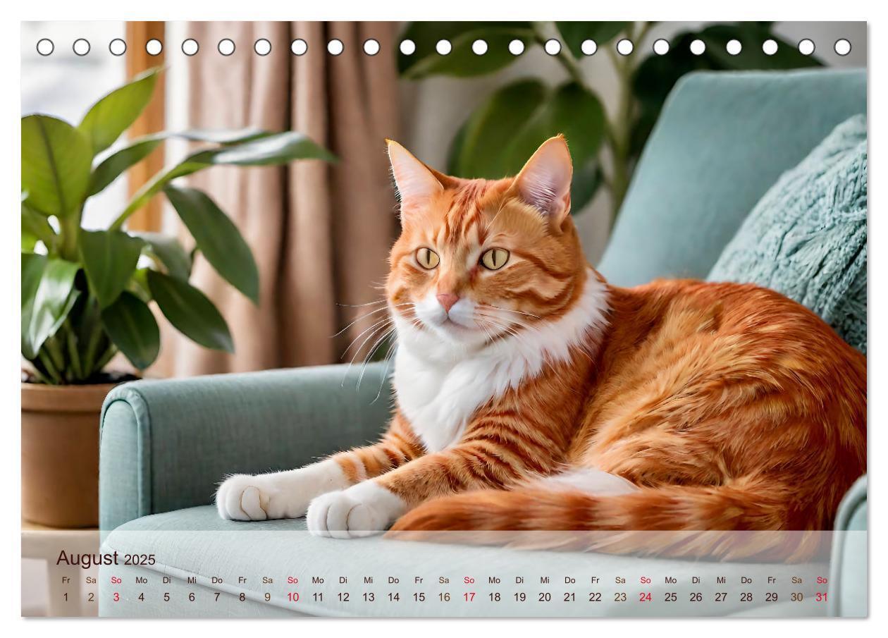 Bild: 9783383817885 | Rote Katzen (Tischkalender 2025 DIN A5 quer), CALVENDO Monatskalender