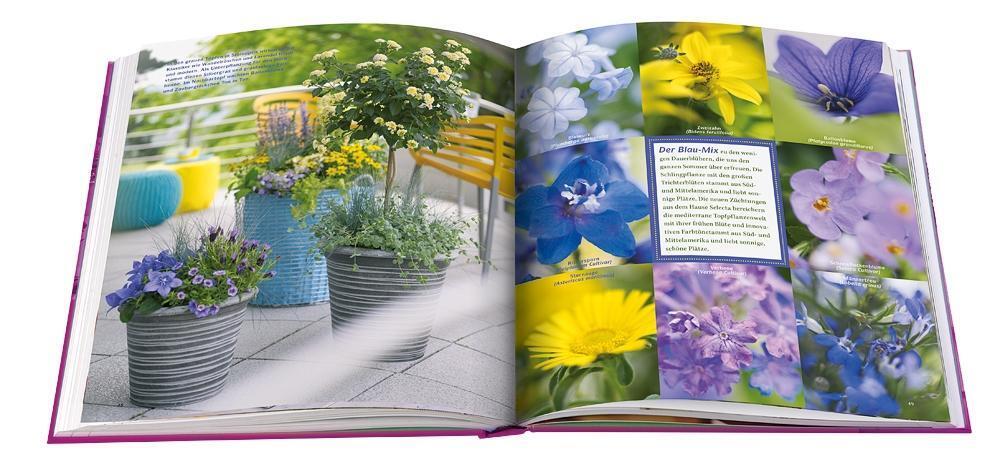 Bild: 9783945429785 | Blütenoasen | Die schönsten Gestaltungen für Balkon & Terrasse | Buch