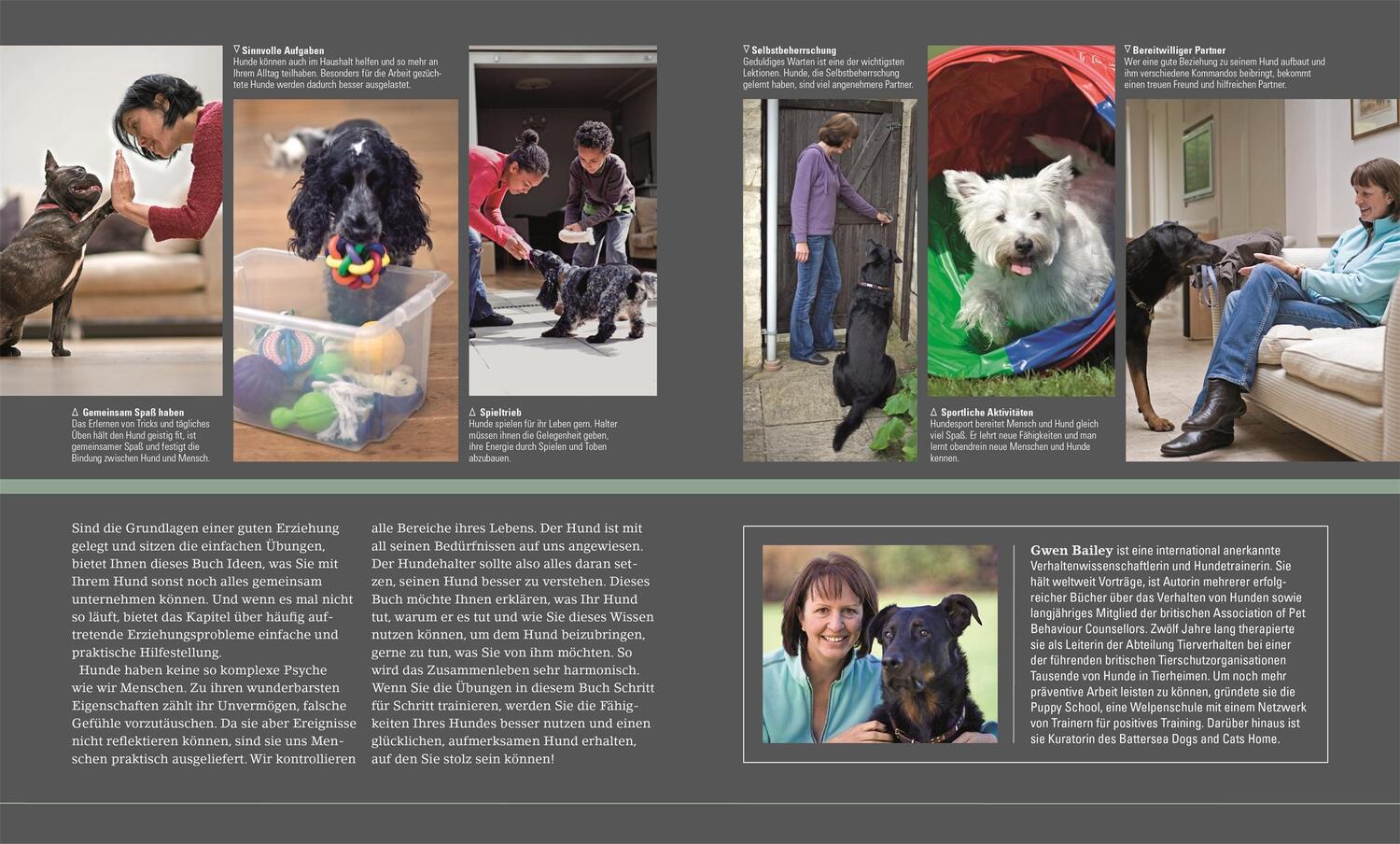 Bild: 9783831045426 | Hundeerziehung ganz einfach | Gwen Bailey | Taschenbuch | 256 S.