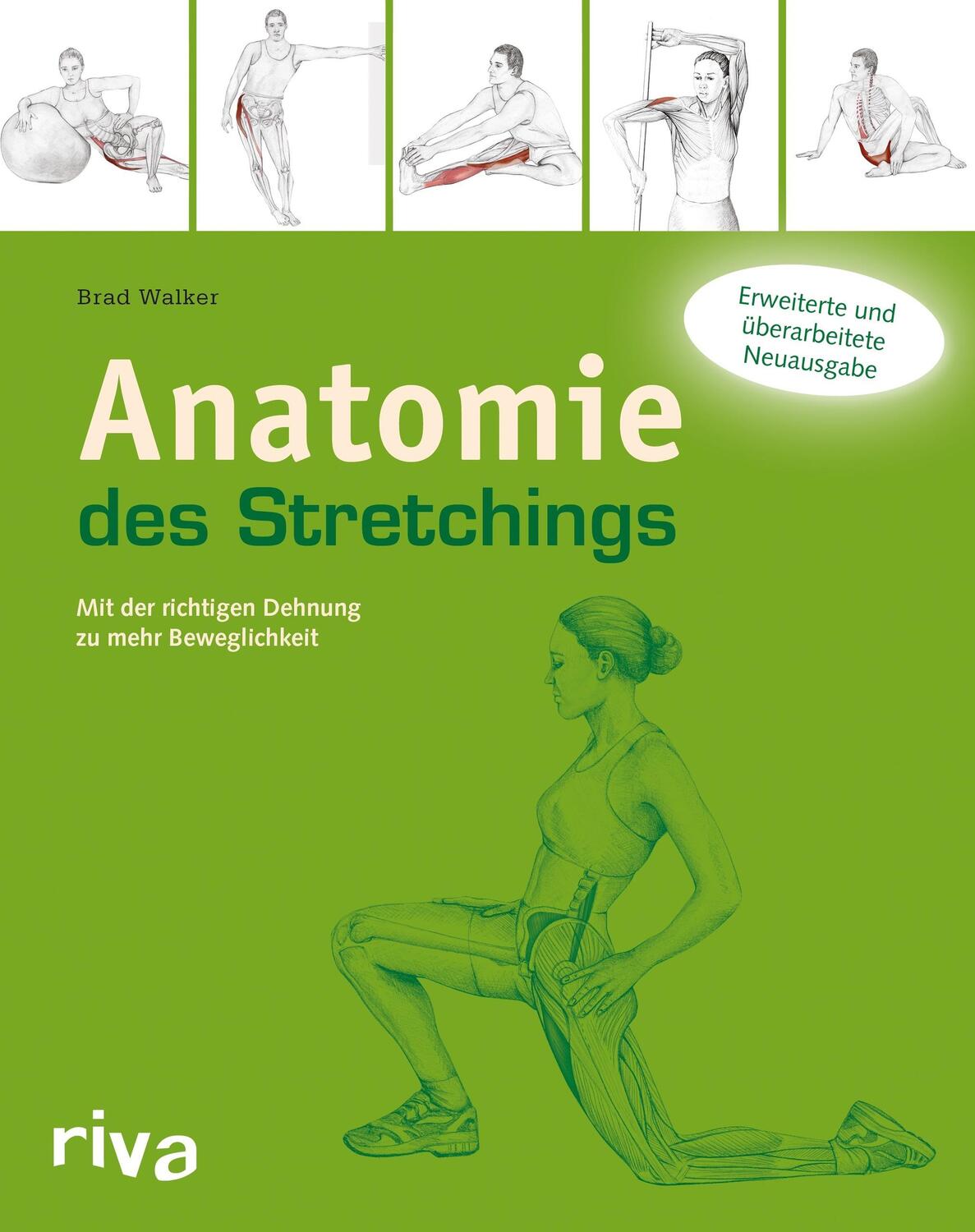 Cover: 9783868833652 | Anatomie des Stretchings | Brad Walker | Taschenbuch | Deutsch | 2014