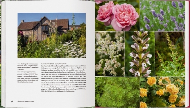Bild: 9783836921114 | Shakespeares Gärten | Jackie Bennett | Buch | GB mit Schutzumschlag