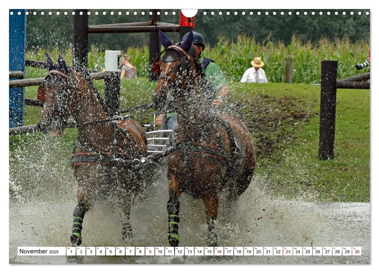 Bild: 9783383964602 | Faszination Fahrsport - Zweispänner im Galopp durch den Parcour...