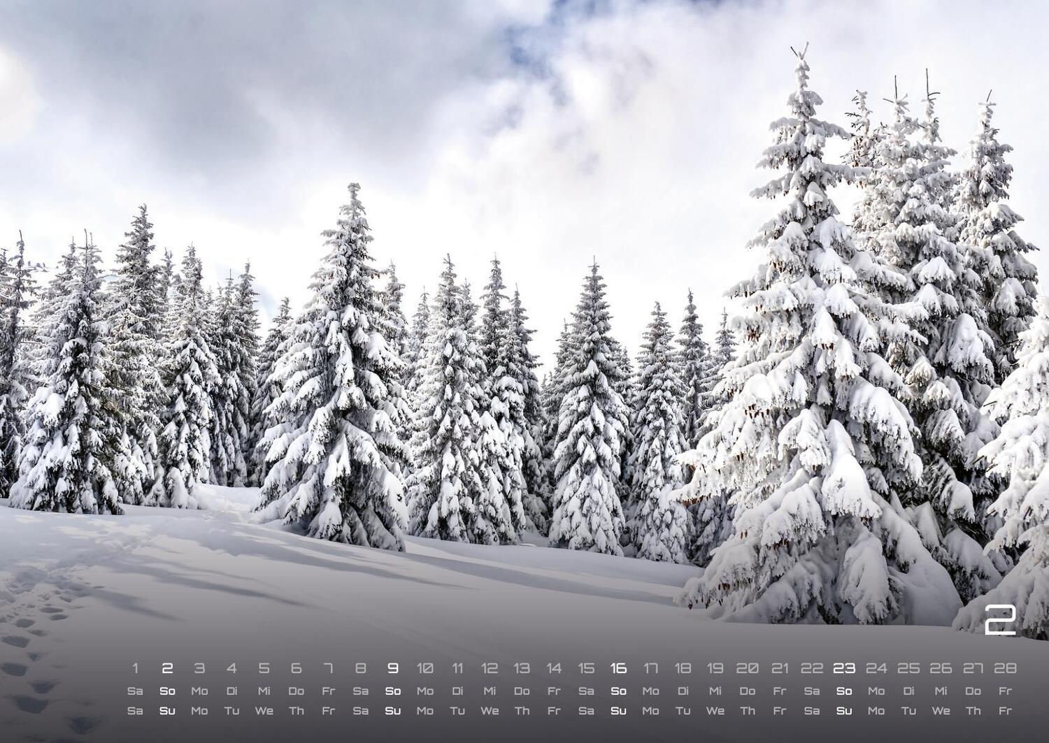 Bild: 9783986734473 | Wald - Erholung für Mensch und Tier - 2025 - Kalender DIN A2 | de