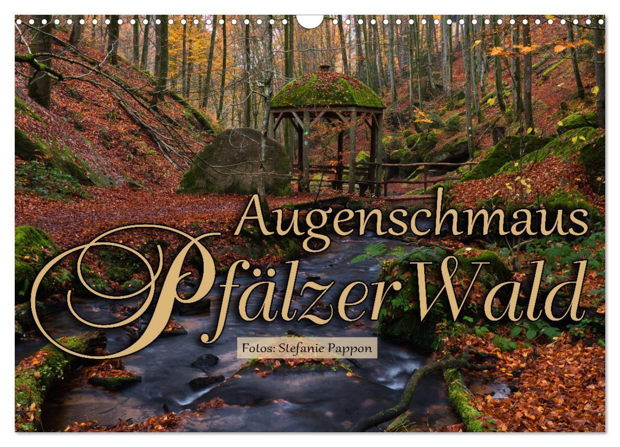 Cover: 9783435149254 | Augenschmaus Pfälzer Wald (Wandkalender 2025 DIN A3 quer), CALVENDO...