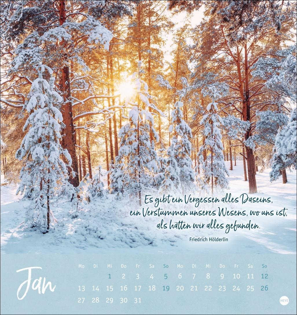 Bild: 9783756407118 | Unser Wald Postkartenkalender 2025 - zauberhafter Ort der Kraft | Heye
