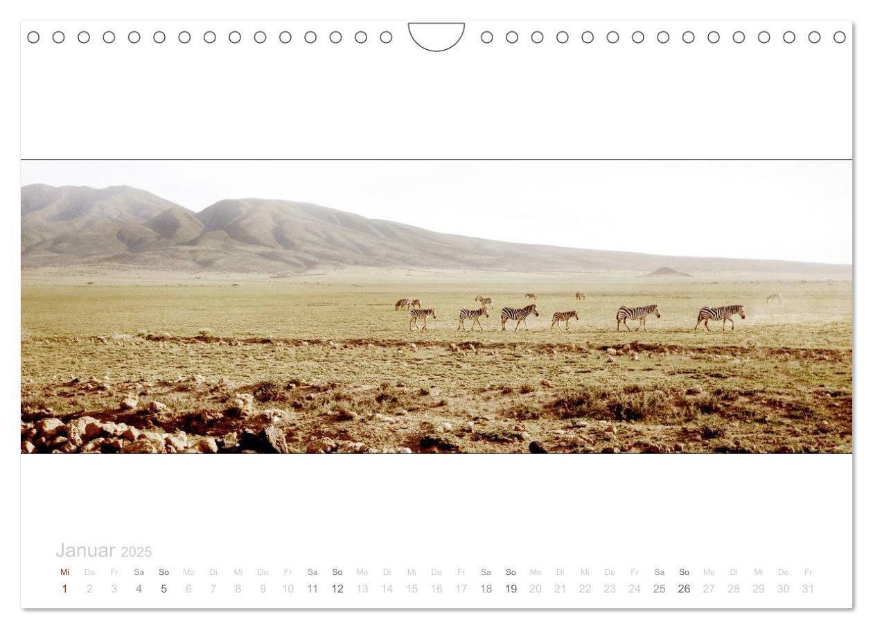 Bild: 9783435687749 | Serengeti Panorama (Wandkalender 2025 DIN A4 quer), CALVENDO...