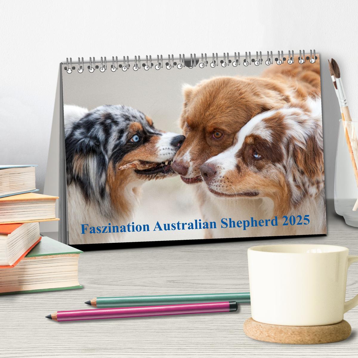 Bild: 9783435671762 | Australian Shepherd 2025 (Tischkalender 2025 DIN A5 quer), CALVENDO...