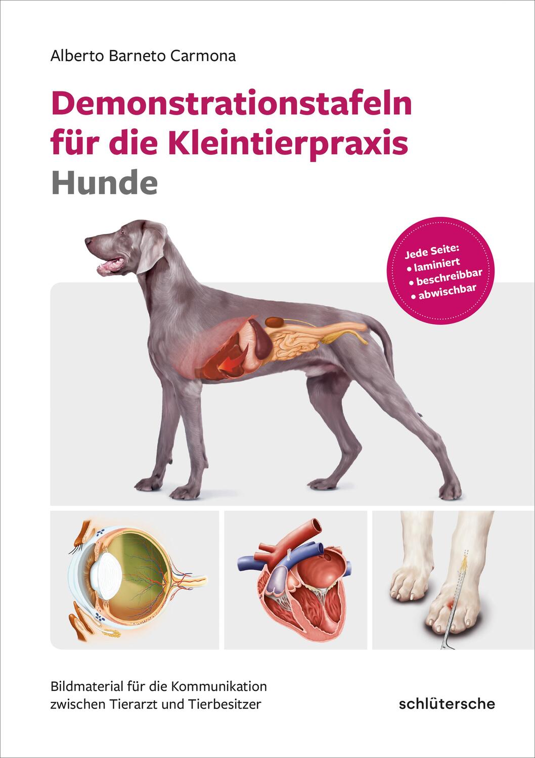 Cover: 9783842600607 | Demonstrationstafeln für die Kleintierpraxis Hunde | Carmona | Buch