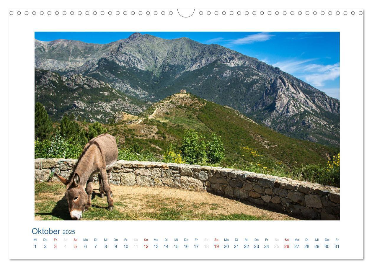 Bild: 9783435797134 | Korsika 2025 (Wandkalender 2025 DIN A3 quer), CALVENDO Monatskalender