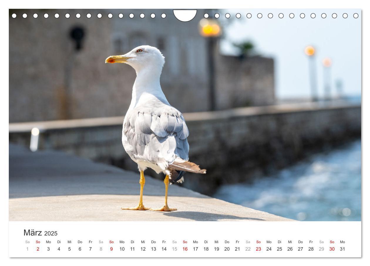 Bild: 9783457202135 | Porec Kalender - Die kroatische Stadt an der Adria (Wandkalender...