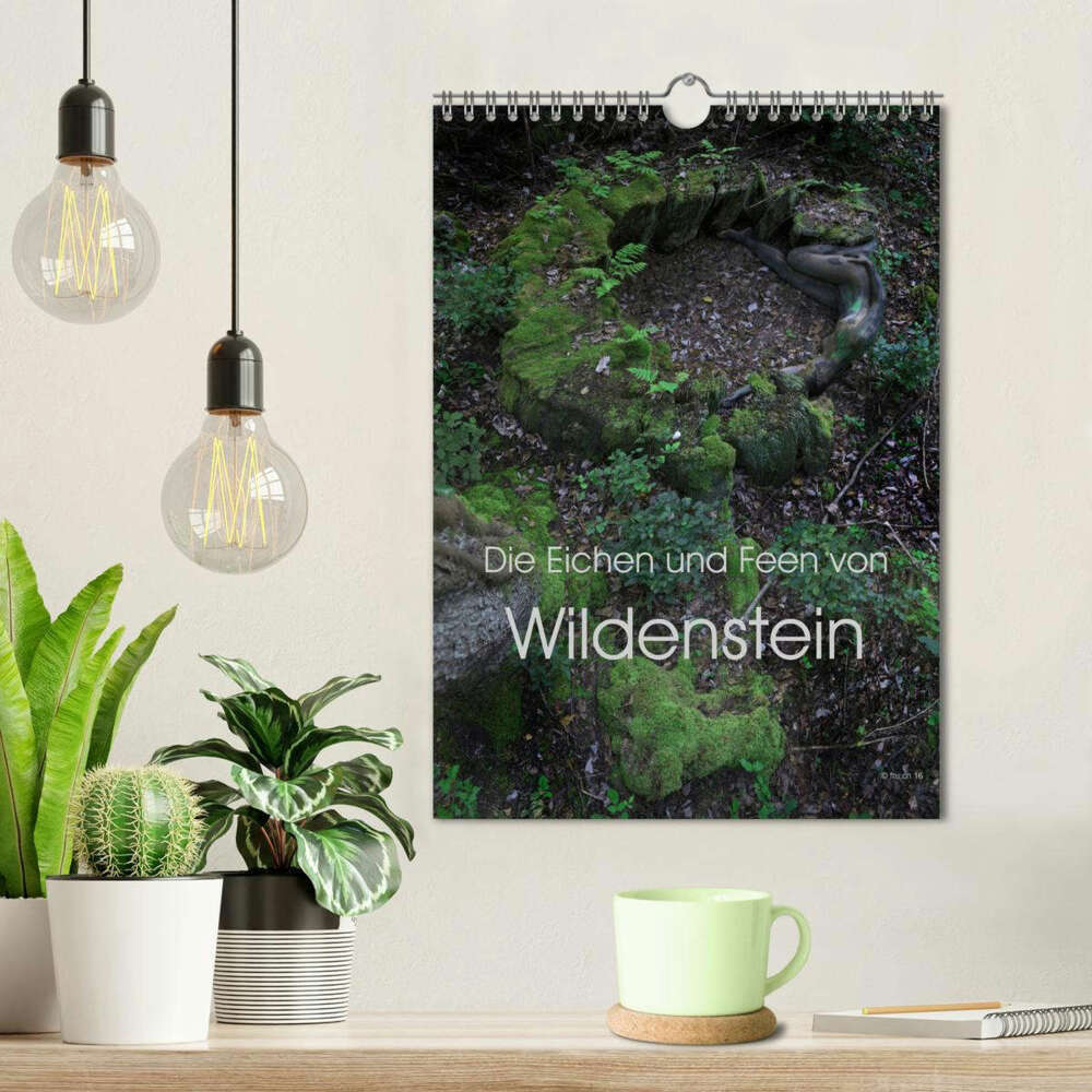 Bild: 9783383224317 | Die Eichen und Feen von Wildenstein (Wandkalender 2024 DIN A4...