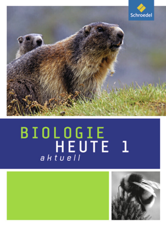 Cover: 9783507767911 | Biologie heute aktuell - Ausgabe 2010 für Hessen | Schülerband 1