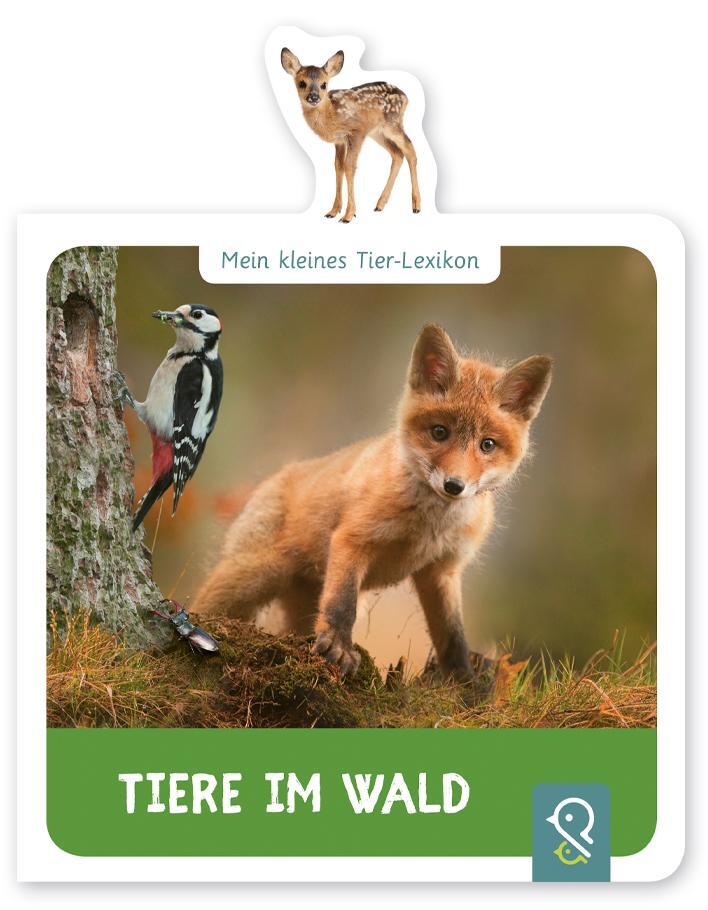 Cover: 9783946360155 | Mein kleines Tier-Lexikon - Tiere im Wald | Hannah Kastenhuber | Buch