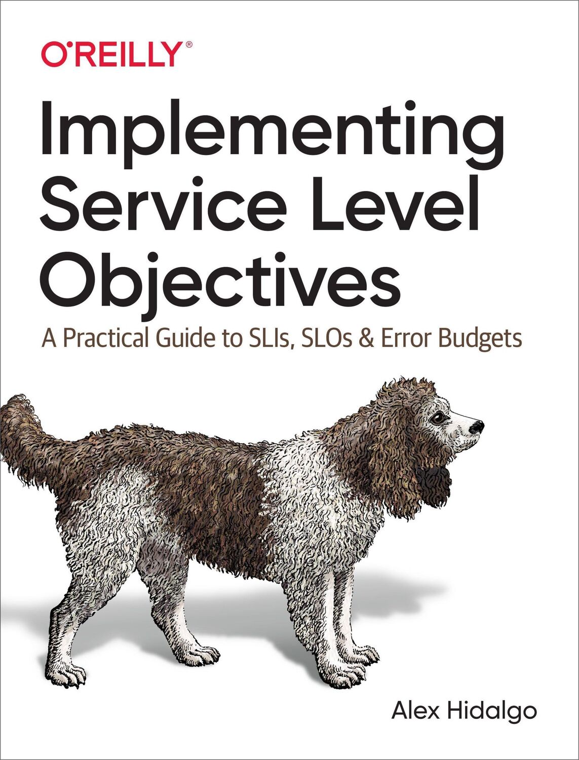 Cover: 9781492076810 | Implementing Service Level Objectives | Alex Hidalgo | Taschenbuch