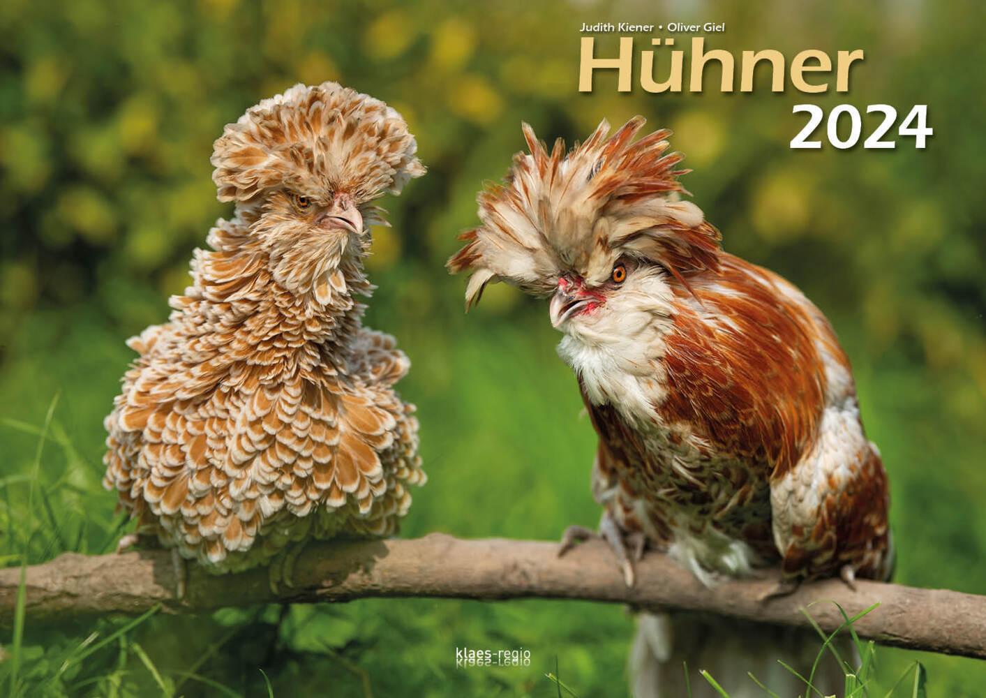 Cover: 9783965351981 | Hühner 2024 Bildkalender A3 quer - Judith Kiener &amp; Oliver Giel | Klaes