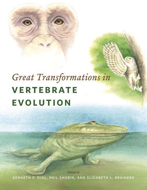 Cover: 9780226268255 | Great Transformations in Vertebrate Evolution | Brainerd (u. a.)
