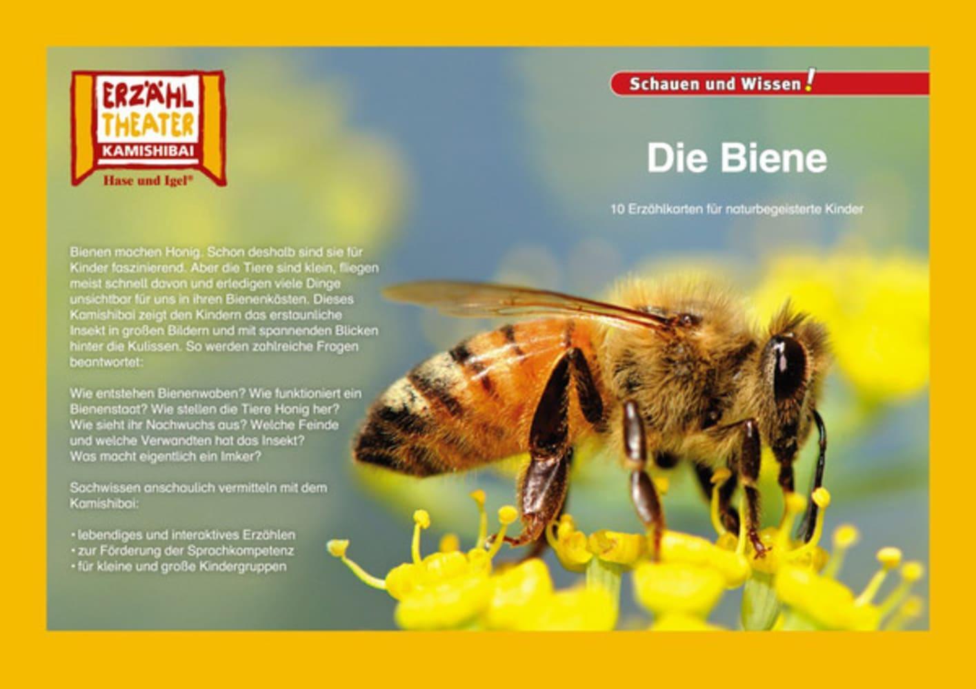 Cover: 4260505830250 | Kamishibai: Die Biene | 10 Fotobildkarten für das Erzähltheater | Box