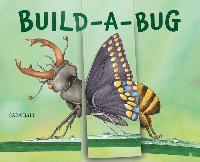 Cover: 9780789214287 | Build-a-Bug | Sara Ball | Buch | Flip-and-Flop | Englisch | 2022