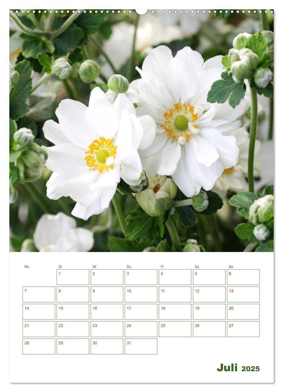 Bild: 9783435965038 | Weiße Blüten im Grünen (Wandkalender 2025 DIN A2 hoch), CALVENDO...