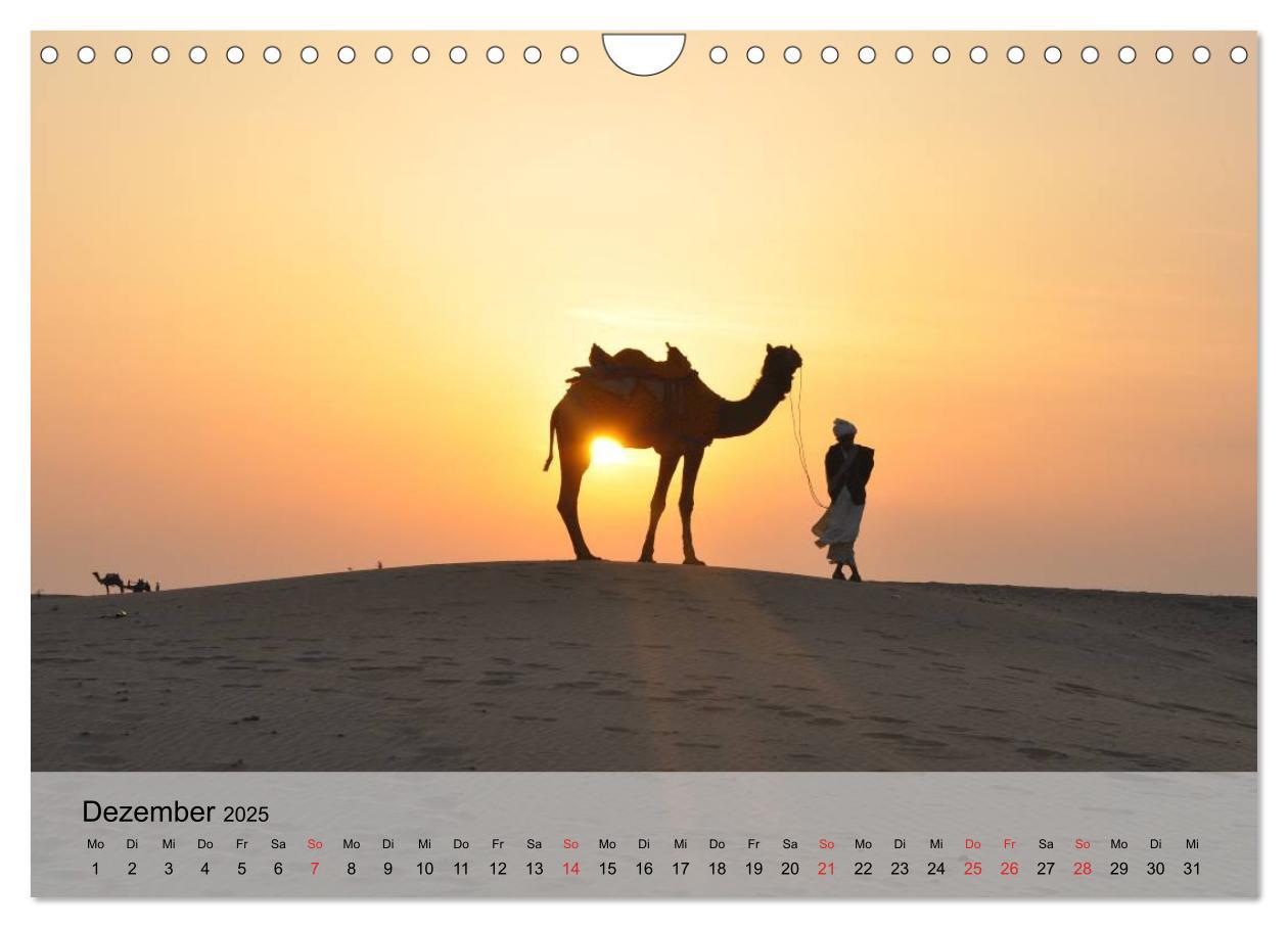 Bild: 9783435601035 | Kamele in der Wüstensonne (Wandkalender 2025 DIN A4 quer), CALVENDO...