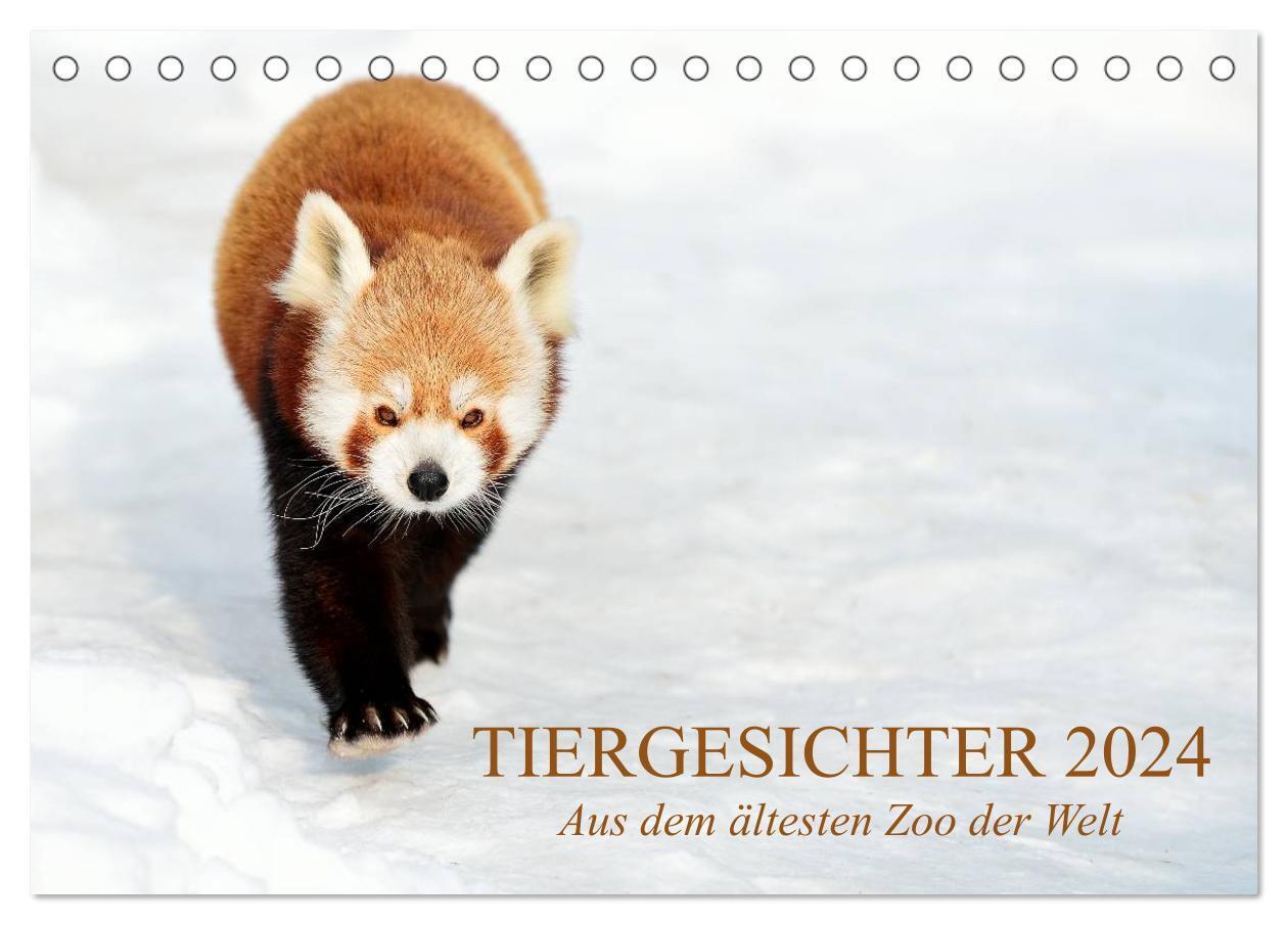 Cover: 9783675475168 | Tiergesichter 2024 (Tischkalender 2024 DIN A5 quer), CALVENDO...