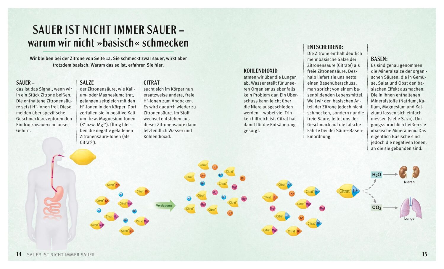 Bild: 9783833844287 | Säure-Basen-Kochbuch | Karola Wiedemann (u. a.) | Taschenbuch | 160 S.