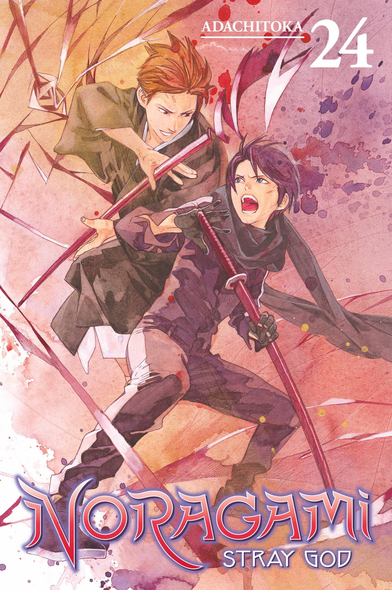 Cover: 9781646514250 | Noragami: Stray God 24 | Adachitoka | Taschenbuch | Englisch | 2022