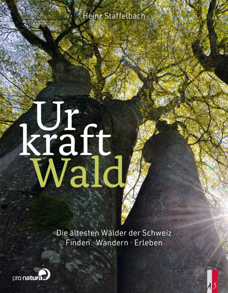 Cover: 9783039130382 | Urkraft Wald | Heinz Staffelbach | Buch | 200 S. | Deutsch | 2023