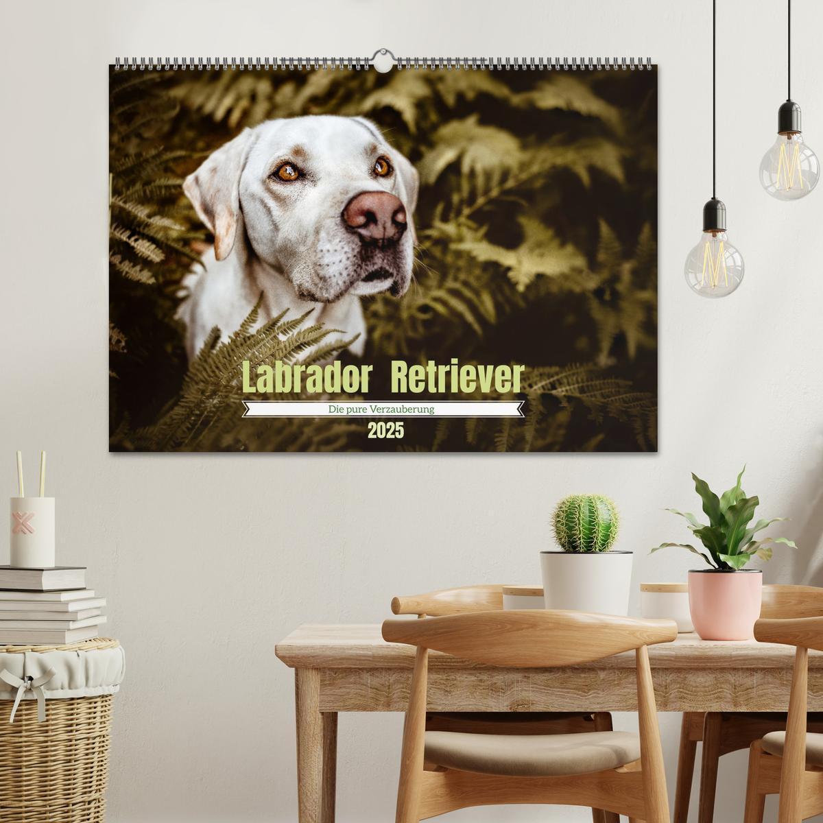 Bild: 9783435017843 | Verzauberung Labrador Retriever 2025 (Wandkalender 2025 DIN A2...