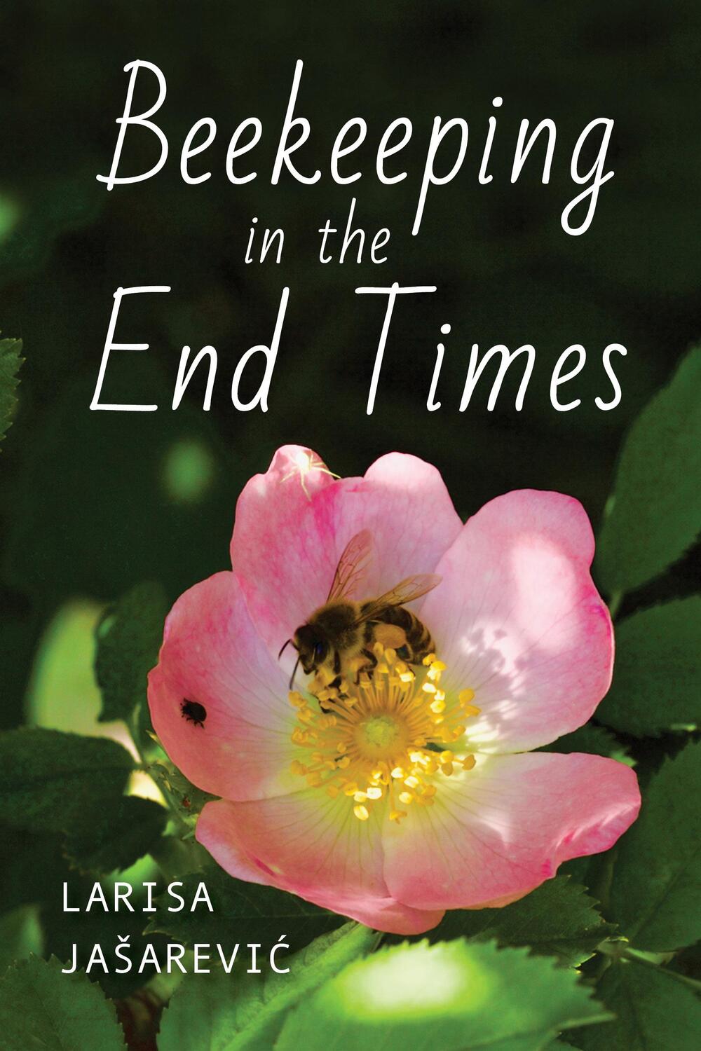 Cover: 9780253068125 | Beekeeping in the End Times | Larisa Jaarevic | Taschenbuch | 2024