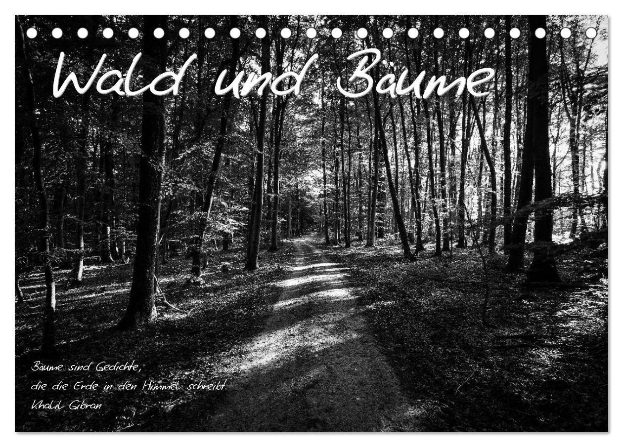 Cover: 9783383587160 | Wald und Bäume (Tischkalender 2024 DIN A5 quer), CALVENDO...