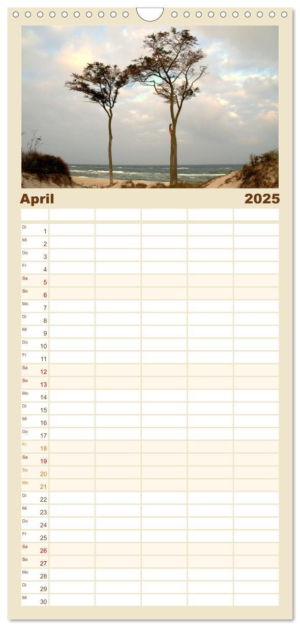 Bild: 9783457124918 | Familienplaner 2025 - Die Ostsee mit 5 Spalten (Wandkalender, 21 x...