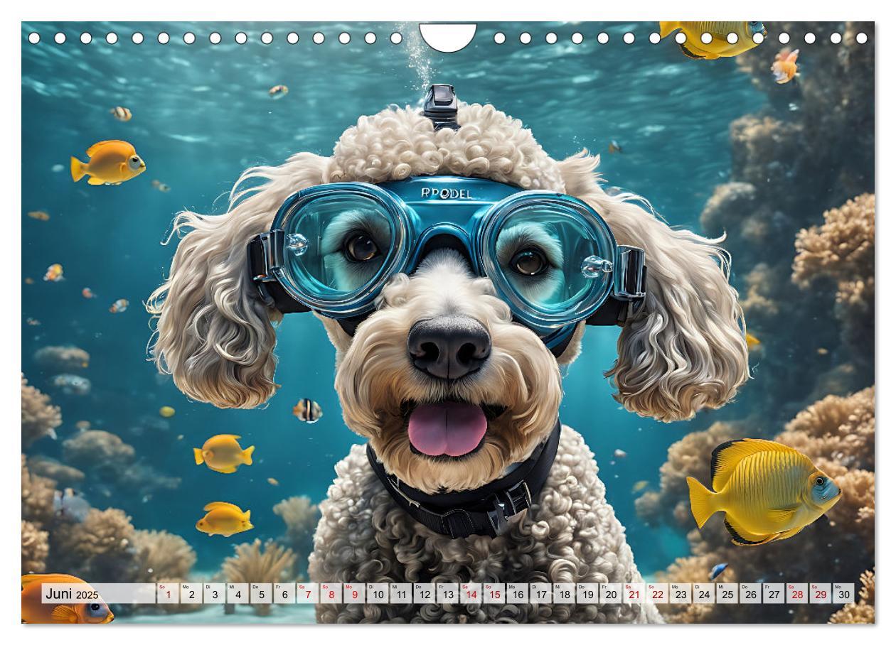 Bild: 9783383845116 | Hunde abgetaucht (Wandkalender 2025 DIN A4 quer), CALVENDO...