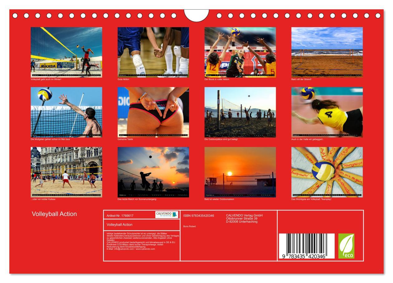 Bild: 9783435420346 | Volleyball Action (Wandkalender 2025 DIN A4 quer), CALVENDO...