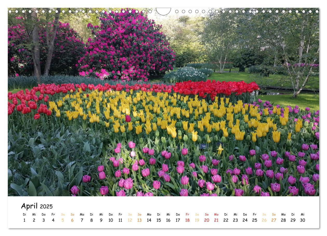 Bild: 9783383924354 | Auf Tour im Land der Tulpen (Wandkalender 2025 DIN A3 quer),...