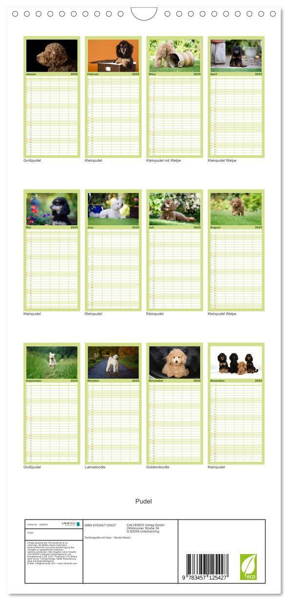 Bild: 9783457125427 | Familienplaner 2025 - Pudel mit 5 Spalten (Wandkalender, 21 x 45...