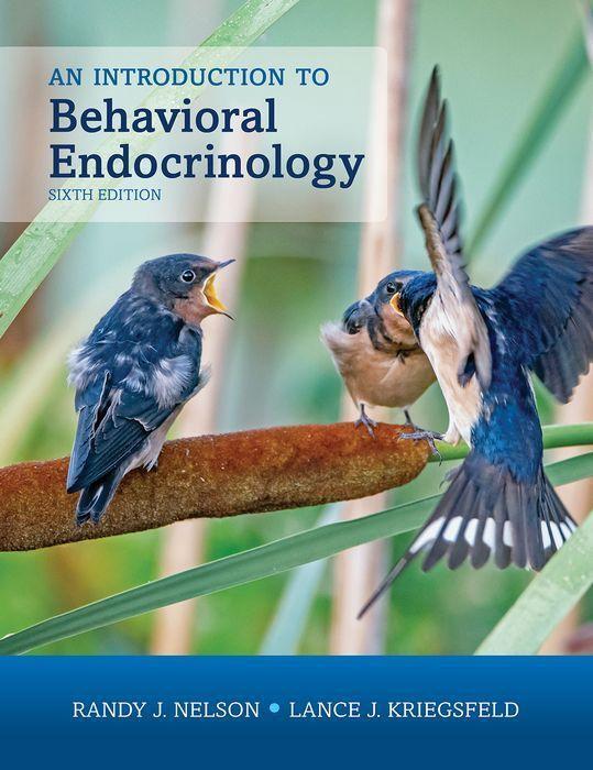 Cover: 9780197542750 | An Introduction to Behavioral Endocrinology, Sixth Edition | Buch