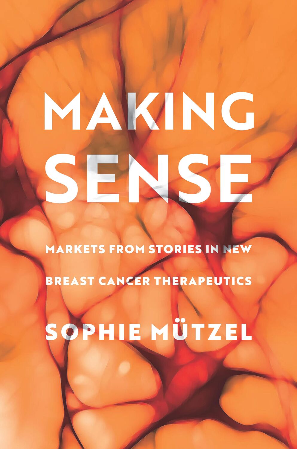 Cover: 9781503634060 | Making Sense: Markets from Stories in New Breast Cancer Therapeutics