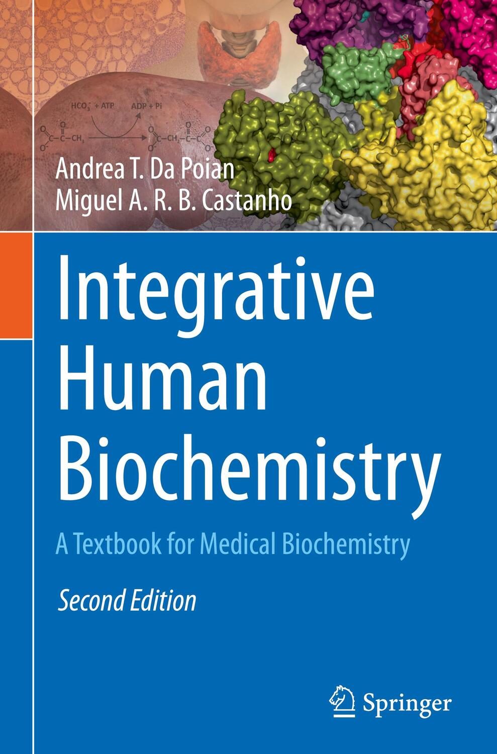 Cover: 9783030487393 | Integrative Human Biochemistry | A Textbook for Medical Biochemistry