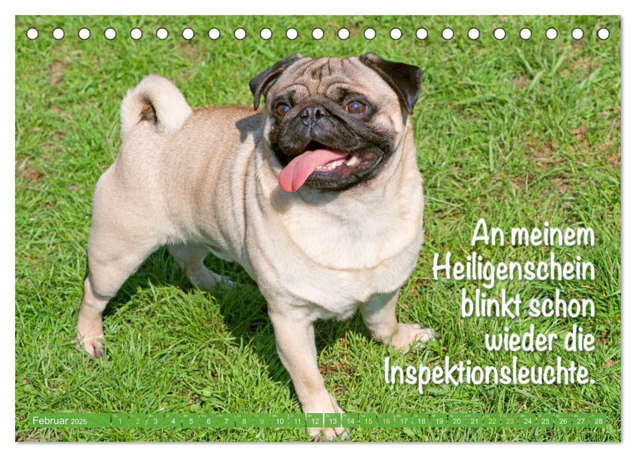 Bild: 9783435070787 | Der Mops: Nicht klein, sondern aufs Wesentliche reduziert. Edition...