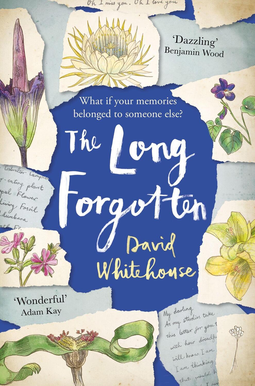 Cover: 9781509827527 | The Long Forgotten | David Whitehouse | Taschenbuch | Englisch | 2019