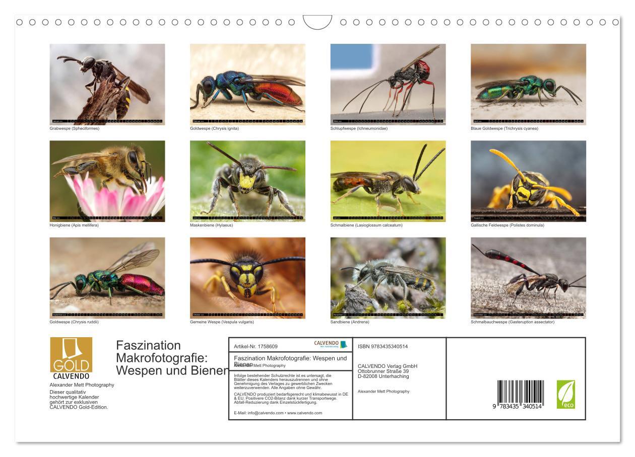 Bild: 9783435340514 | Faszination Makrofotografie: Wespen und Bienen (Wandkalender 2025...