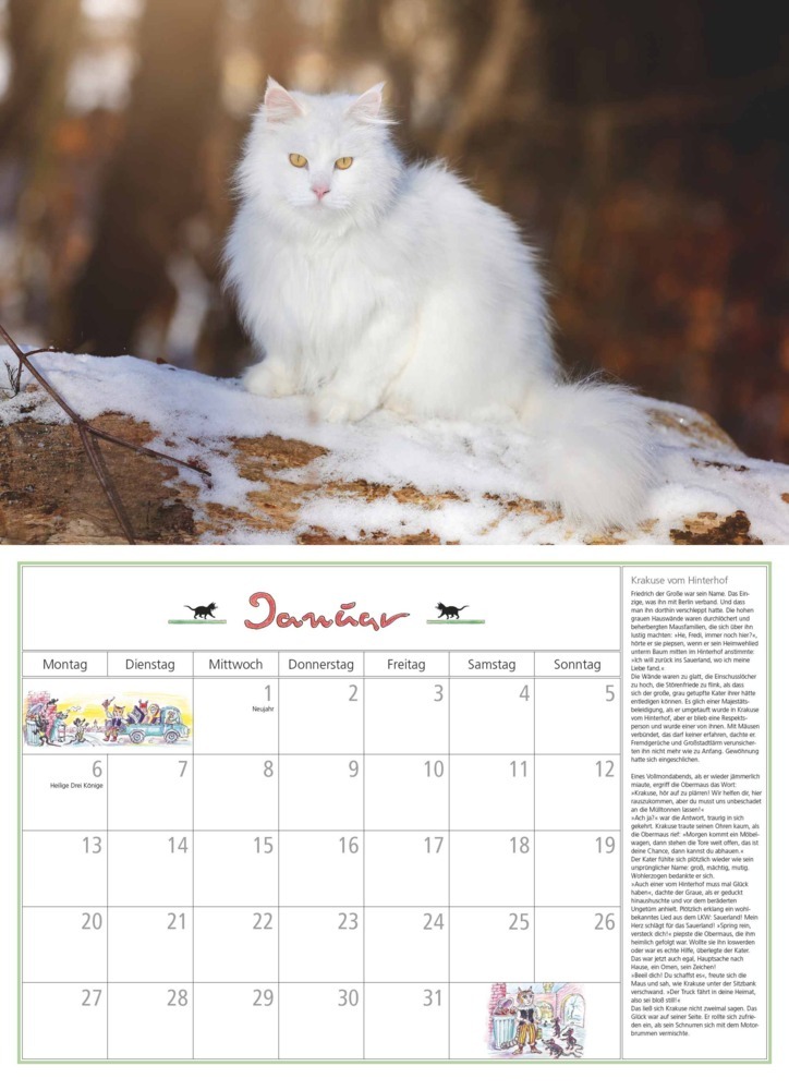 Bild: 4250809652412 | DUMONT - DUMONTS Katzenkalender 2025 Broschürenkalender, 42x29cm,...