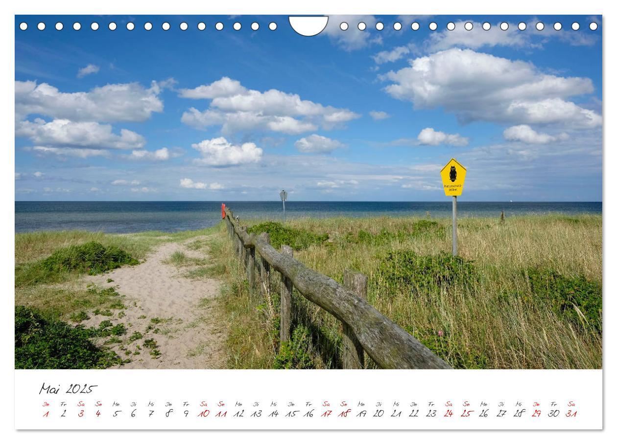 Bild: 9783435444274 | Maasholm - der Fischerort an Schlei und Ostsee (Wandkalender 2025...