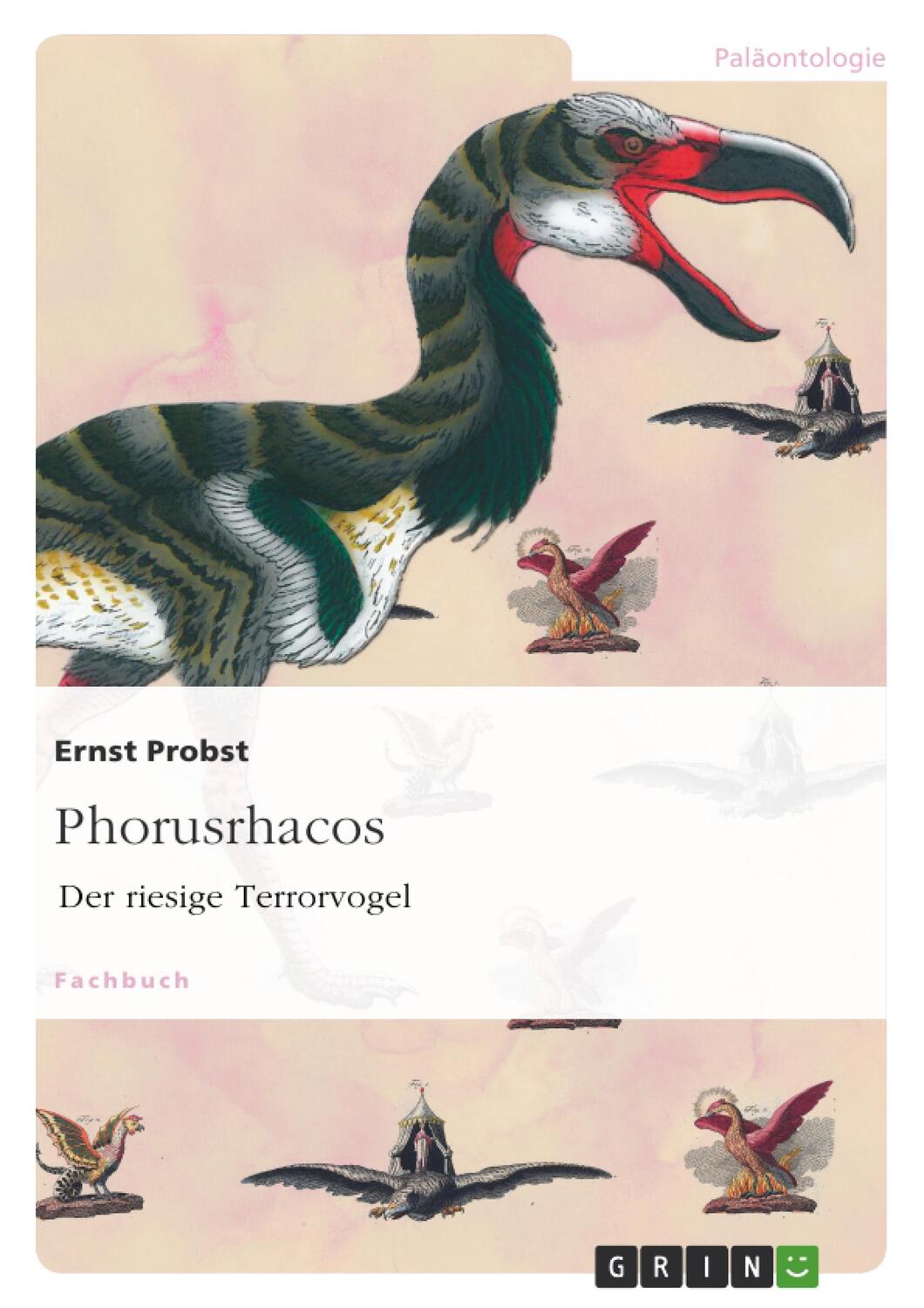 Cover: 9783656755074 | Phorusrhacos | Der riesige Terrorvogel | Ernst Probst | Taschenbuch