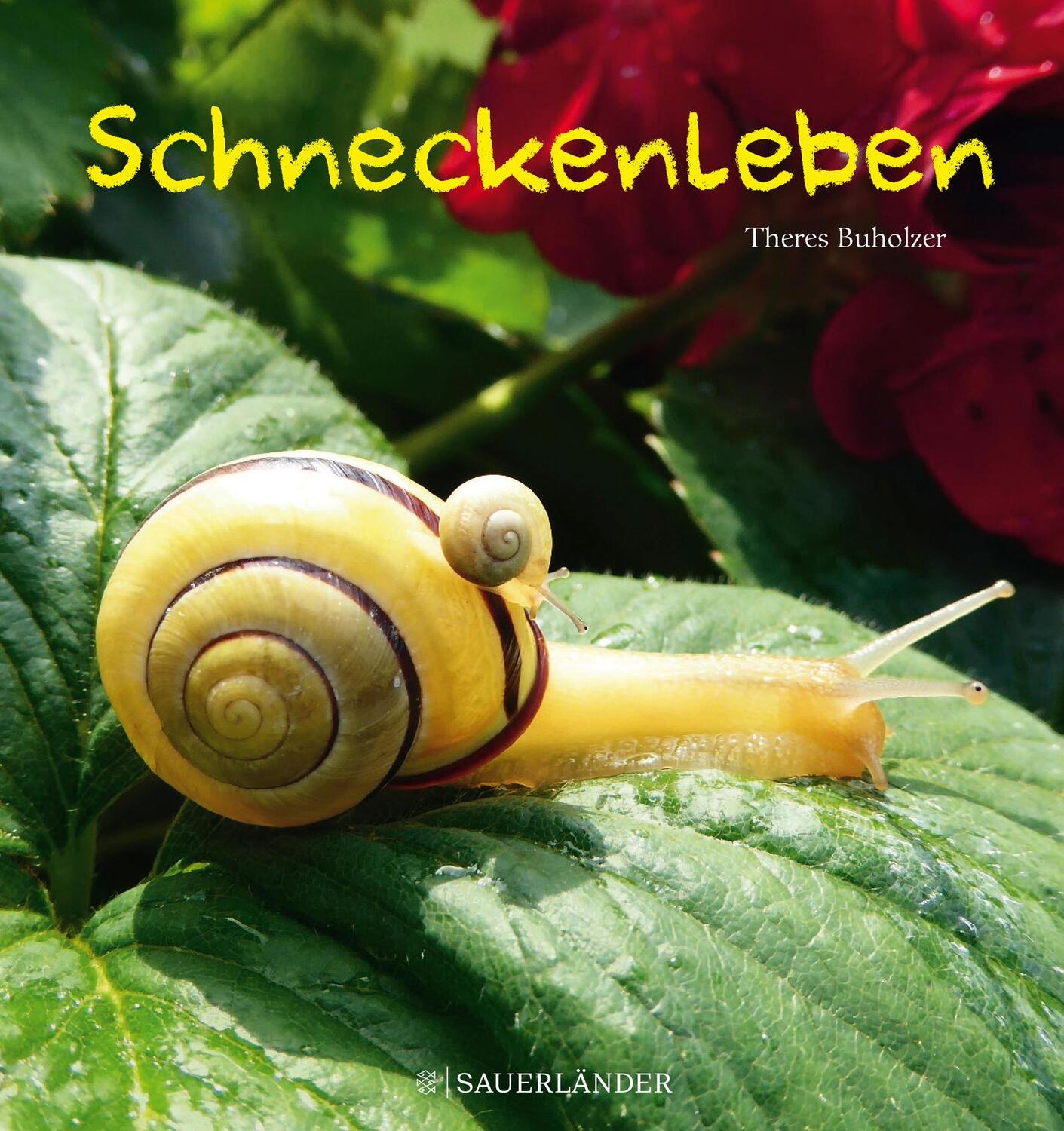 Cover: 9783737356398 | Schneckenleben | Theres Buholzer | Buch | 48 S. | Deutsch | 2019