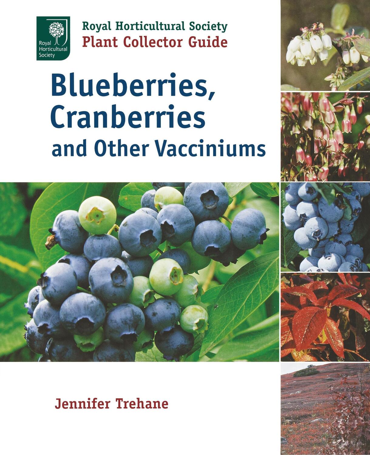 Cover: 9781604690729 | Blueberries, Cranberries and Other Vacciniums | Jennifer Trehane