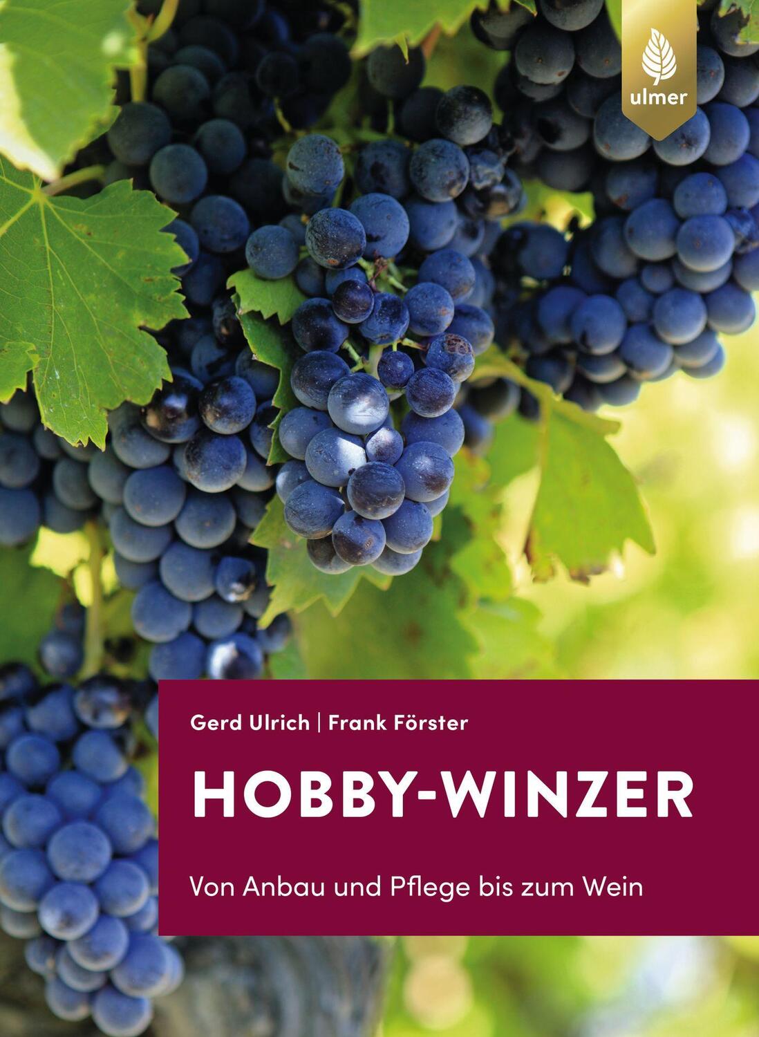 Cover: 9783818608323 | Hobby-Winzer | Von Anbau und Pflege bis zum Wein | Gerd Ulrich (u. a.)