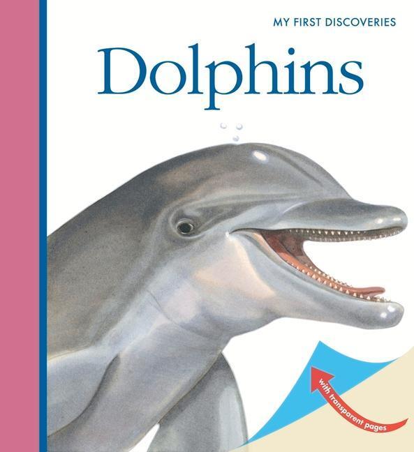 Cover: 9781851034680 | Dolphins | Sylvaine Peyrols | Taschenbuch | Kartoniert / Broschiert
